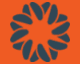 Magellan Power logo