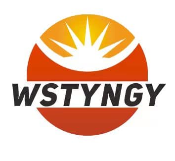 Danyang Weisheng Electronics Co., Ltd. logo
