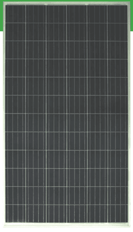 OLI295 P35