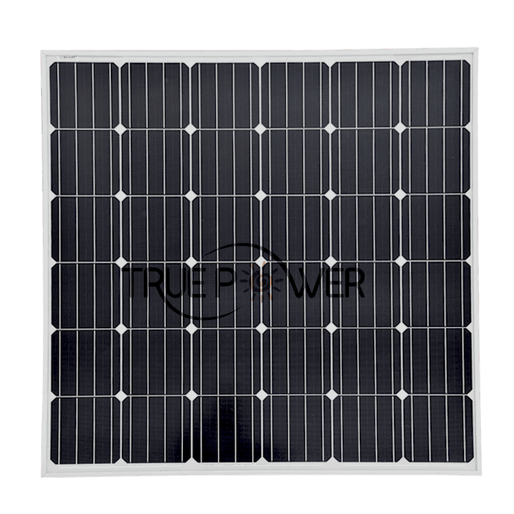 Mono 100W 5 Inch