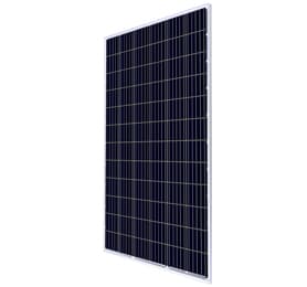 PR310W-36M
