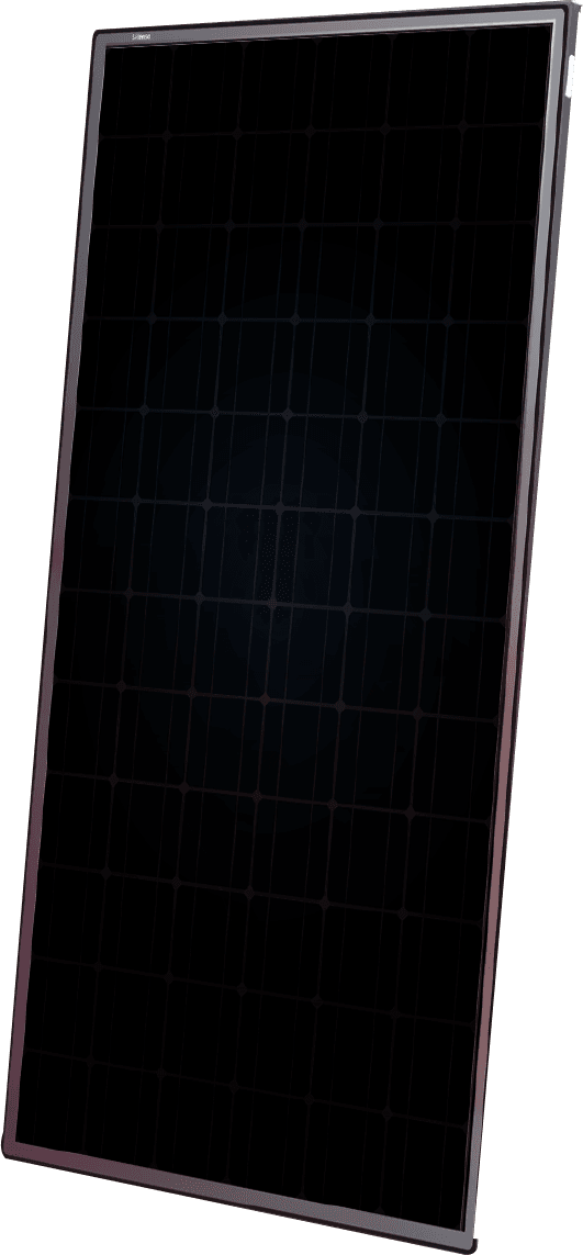 Gorilla N60F_375