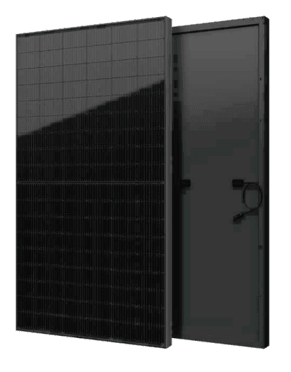 SEG-435-BTD-BG