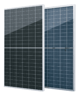 SEG-615-BTC-BG
