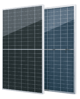 SEG-700-BTC-BG