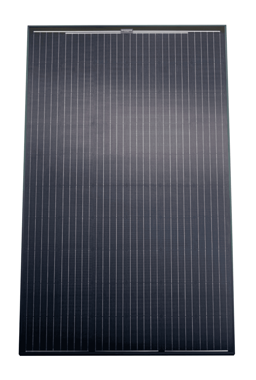 VPV P 300/2 M BBF