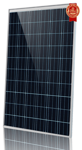 Z20P245C