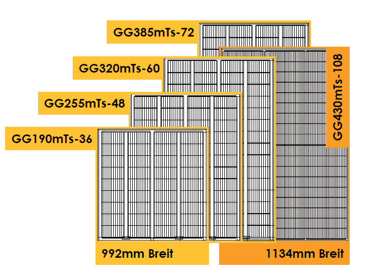 GG430mTs-108 HC BF