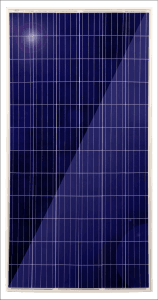 LS 290-60M
