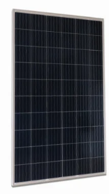 ECLXXXP 60 Cells(260-290WP)