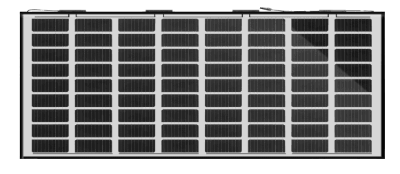 Mono 250W