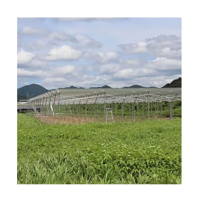 AS Agricultural Solar Farm Mounting System