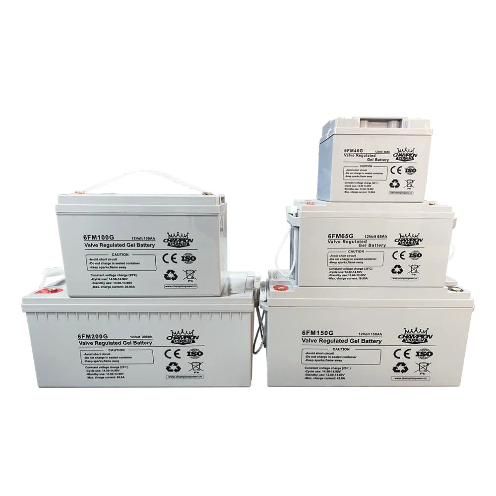 6FM100G