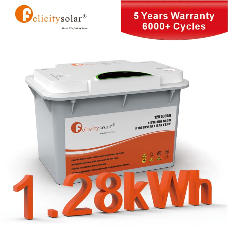 12.8V FLA Series FLA12100-300