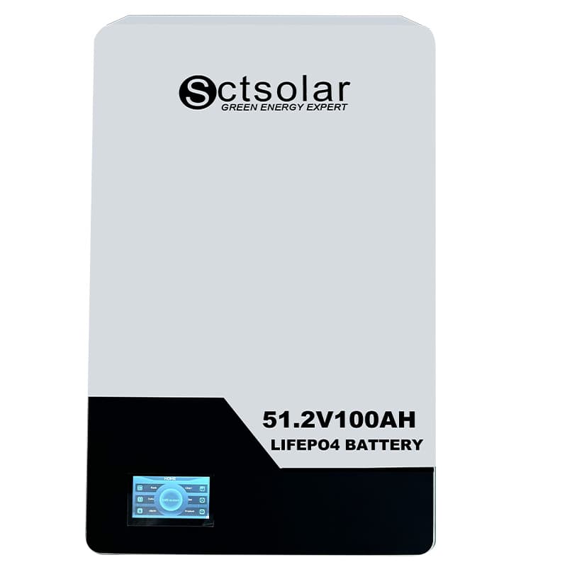 SCT-LBW24100