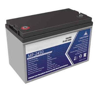 MP-2450