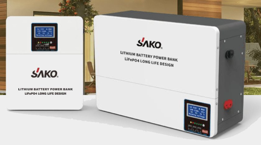 SK- 25.6V100Ah