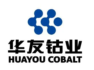 Jiangsu Huayou Energy Technology Co., Ltd logo