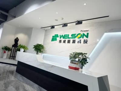 Welson Power Technology (Wuxi) Co., Ltd. logo