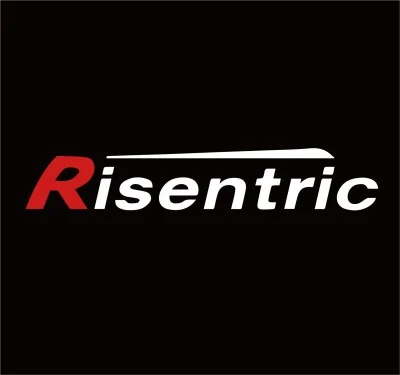 Shanghai Risentric Electric Co., Ltd. logo