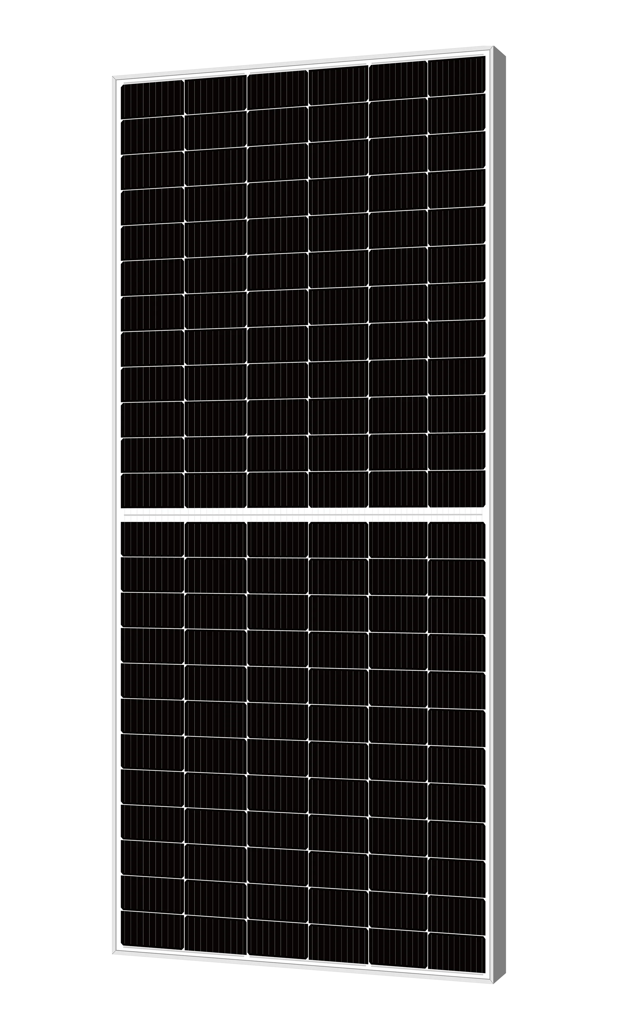 225P54